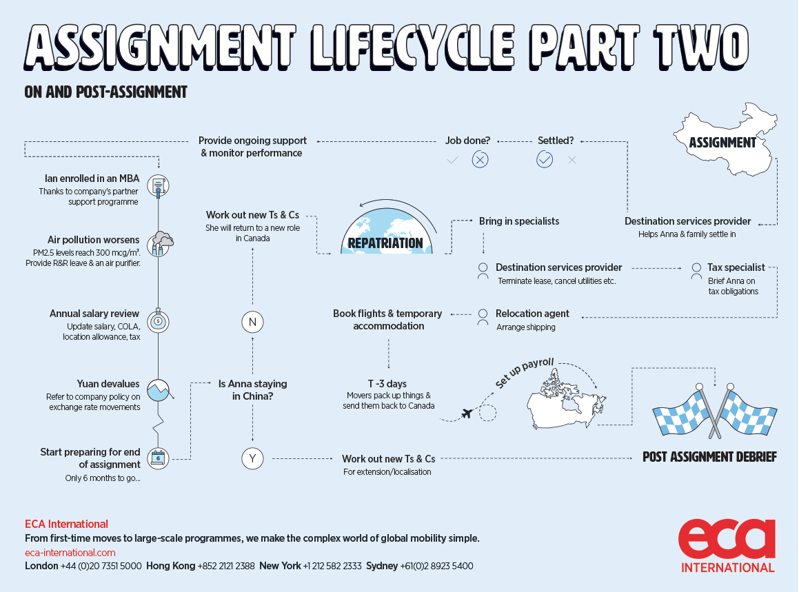 international assignment cycle